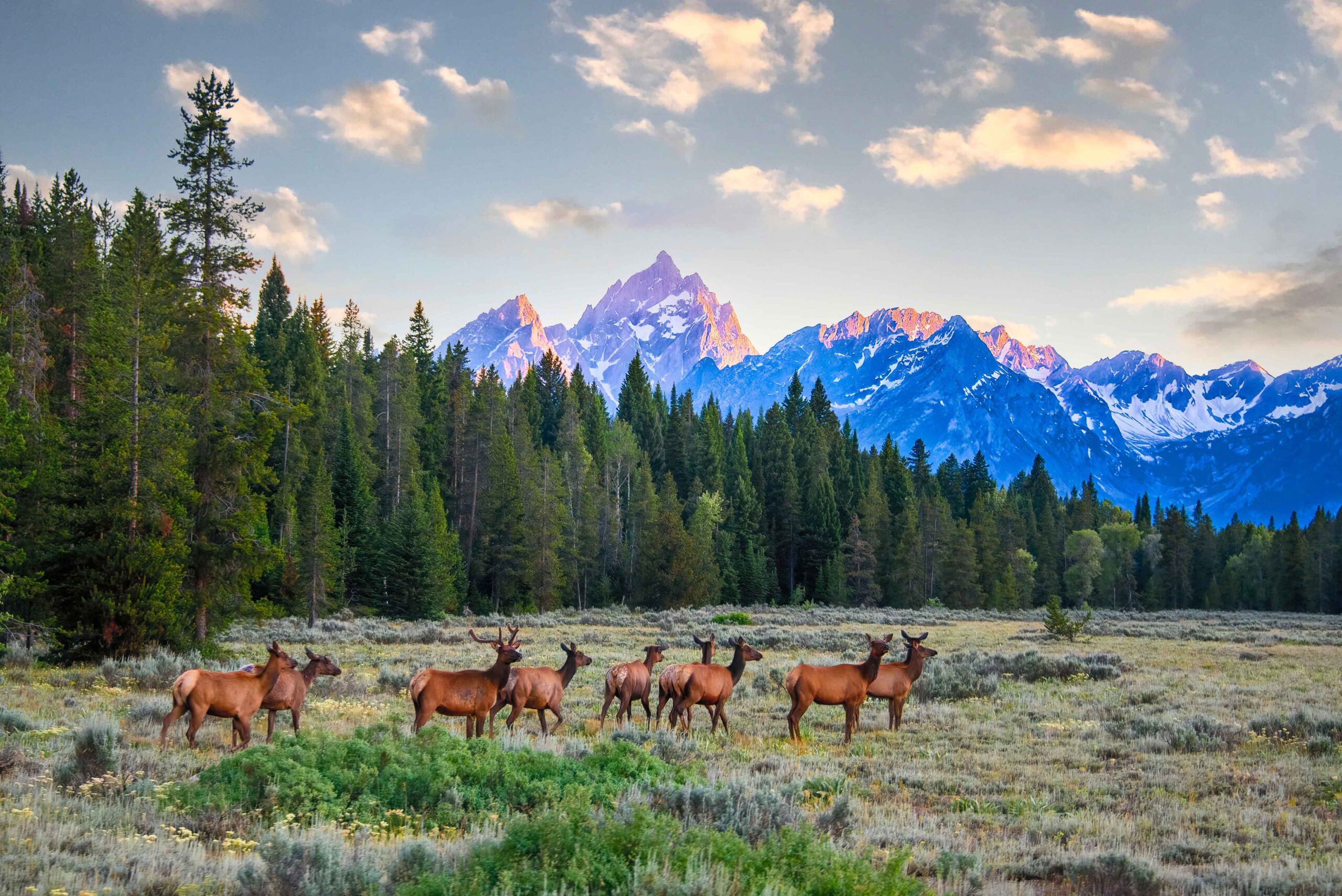 Keller Williams Jackson Hole