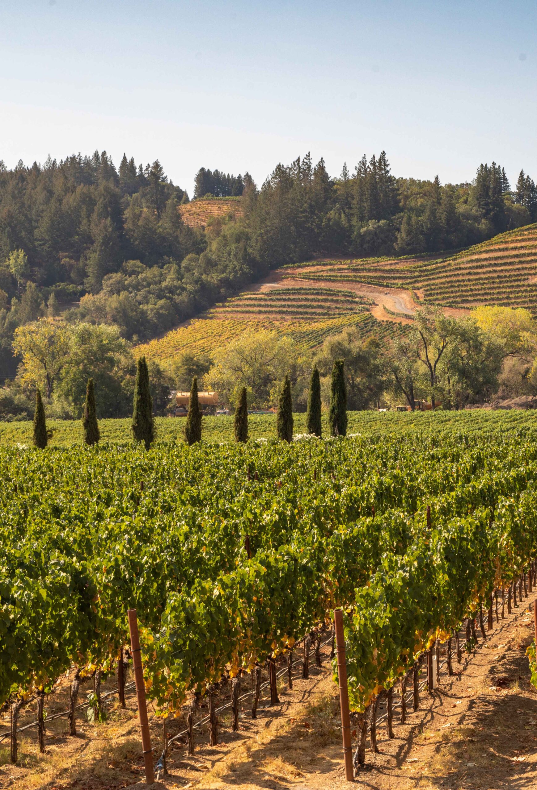 Fairmont Sonoma Mission Inn & Spa