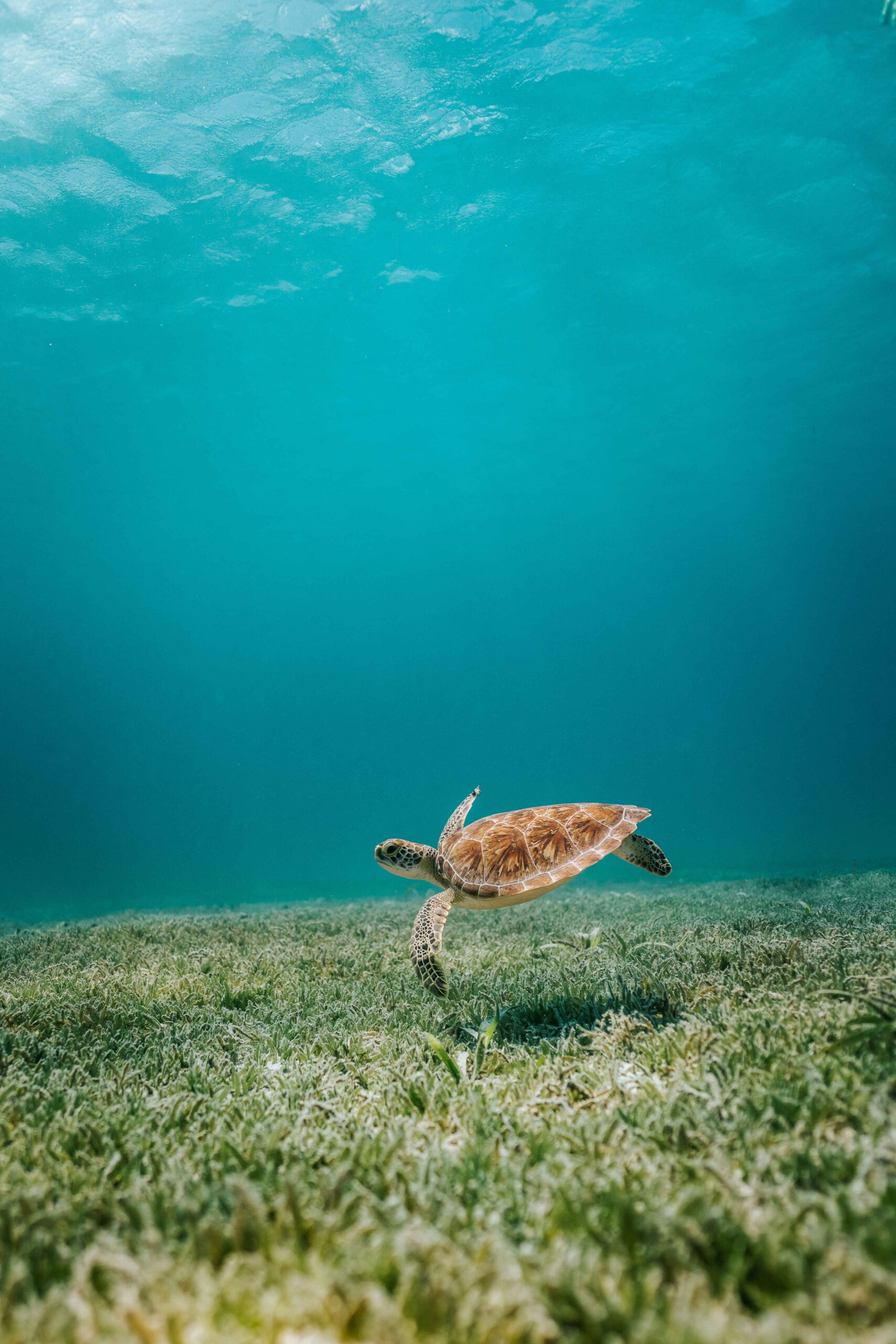 Experience Turks and Caicos