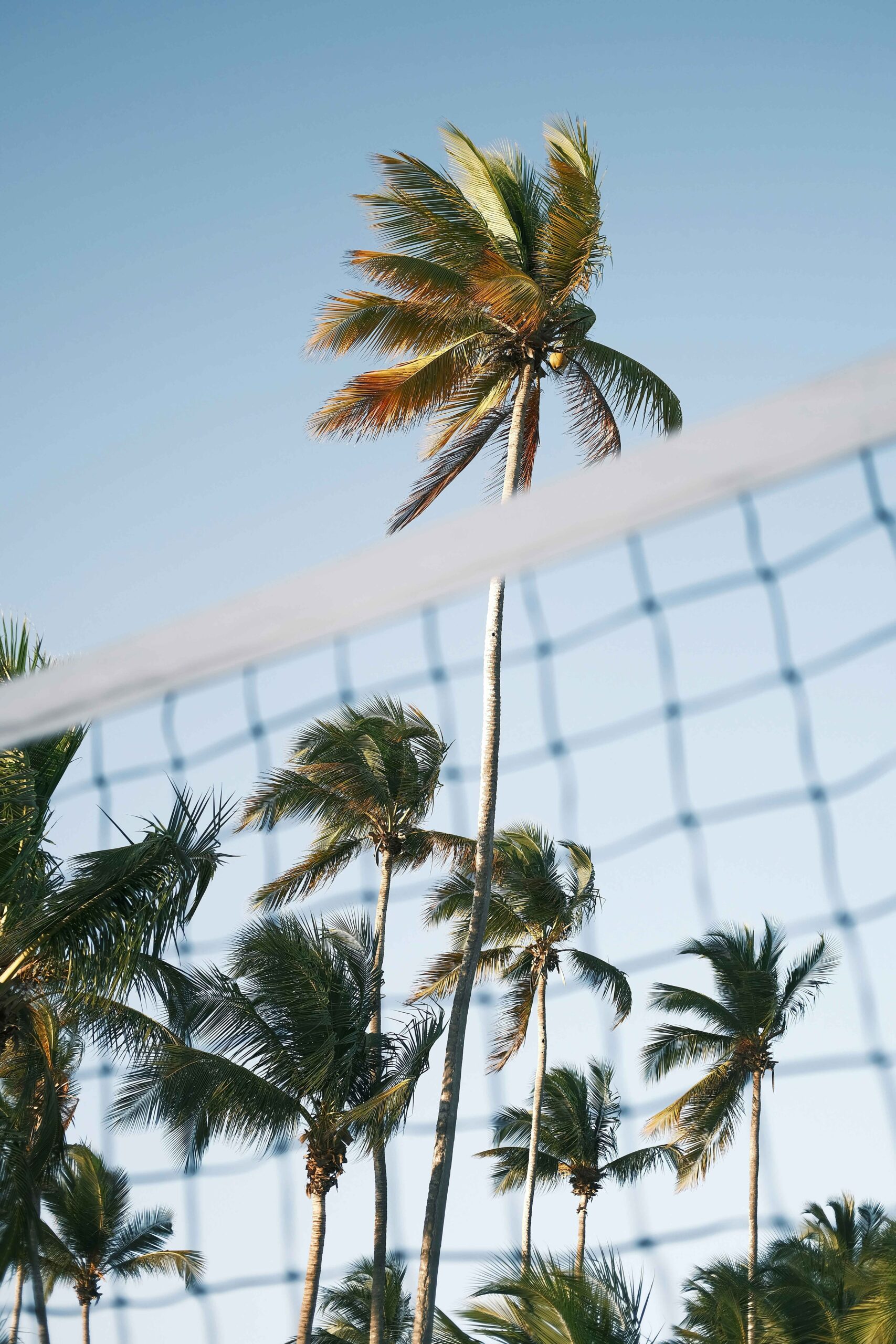 Shutters on the beach & Casa Del Mar
