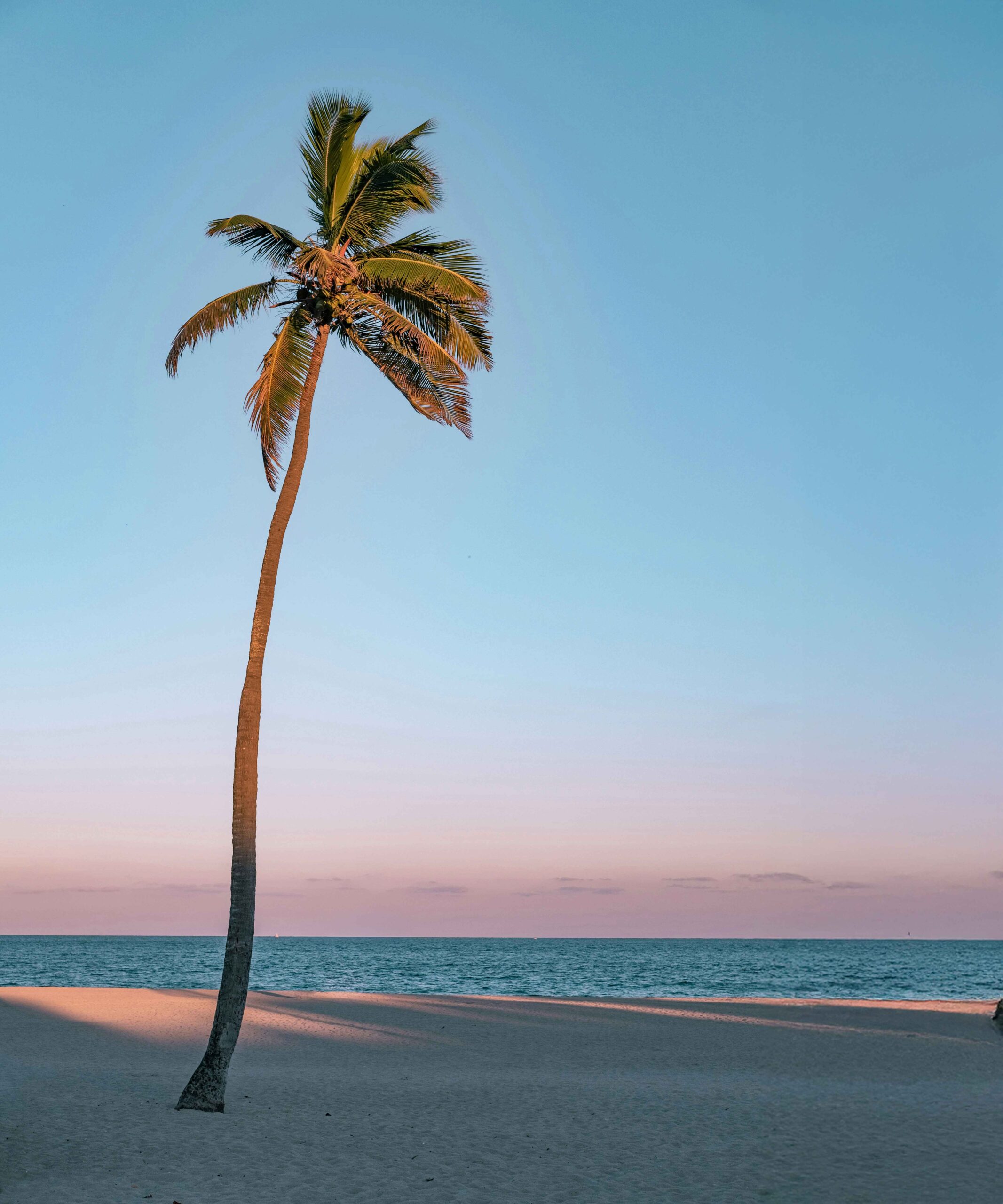 The Ritz-Carlton, Fort Lauderdale